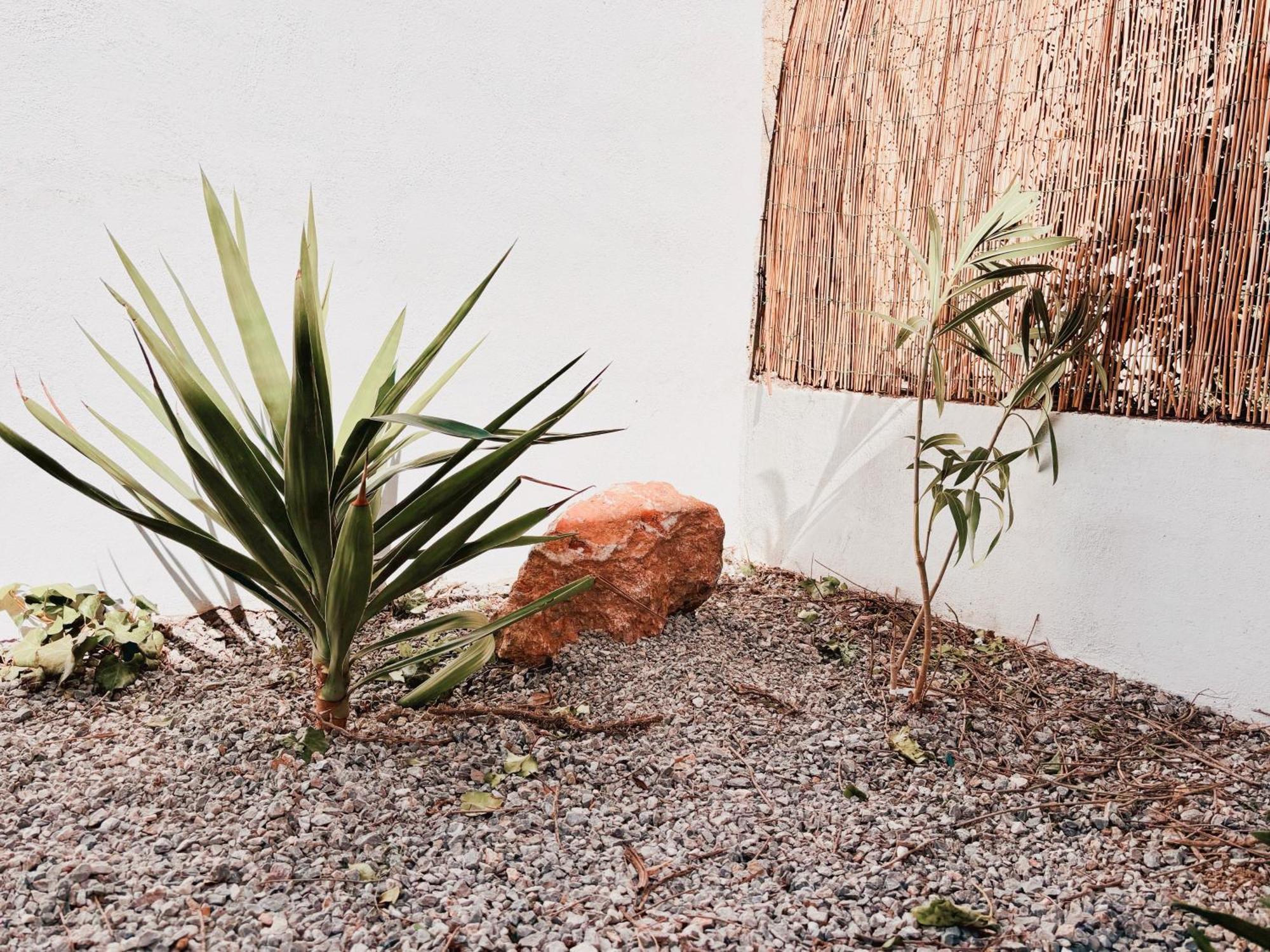 Appartement Avec Jardin Privatif A 300M De La Plage *2* Canet-en-Roussillon Exteriör bild
